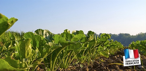 cheminee ethanol roanne